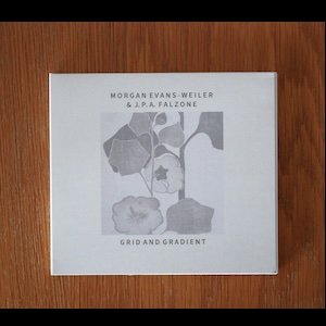画像2: Morgan Evans-Weiler & J. P. A. Falzone "Grid and Gradient" [CD]