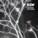 画像1: RLW "Fading Pictures" [CD] (1)
