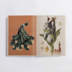 画像3: øjeRum "Stigma" [144 pages book + CD]