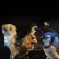 画像1: ErikM & Pierre Bastien "Observations" [Yellow LP] (1)