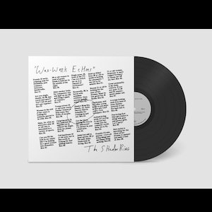 画像2: The Shadow Ring "Wax-Work Echoes" [LP]