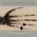 画像1: V.A "Anthology Of Electroacoustic Music From Portugal" [CD] (1)