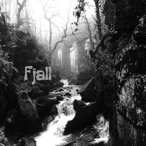 画像1: Fjall "From The Rough Hill" [CD]