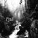 画像1: Fjall "From The Rough Hill" [CD] (1)