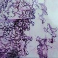Agencement "Orchestral Works 1" [CD]