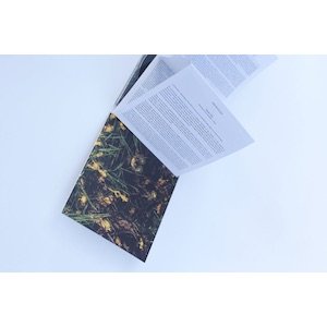 画像2: Thomas Tilly "Codex Amphibia (Phonotaxis) [CD + Booklet 24 pages + Leporello 5 pages]