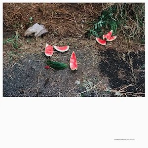 画像1: Andrea Borghi "Palsecam" [LP]