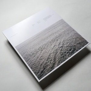 画像2: Andrea Borghi "Palsecam" [LP]