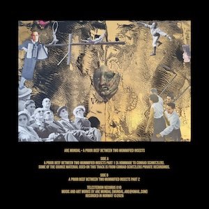 画像2: Are Mundal "A Prior Beef Between two Mummified Insects" [LP]