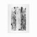 画像1: Lawrence English "The Rest Is My Ghost" [CD + 60 Page Book] (1)