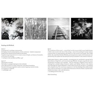 画像2: Christian Wolfarth "Spuren" [Marble LP]