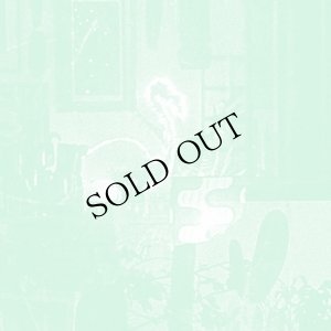 画像1: Mike Cooper "Stochastic Parrot" [CD]