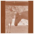 J.WLSN & Liam Keenan "Country/The Country" [CD]