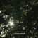 画像2: Jem Finer & John Matthias "Almost Starlight" [CD] (2)