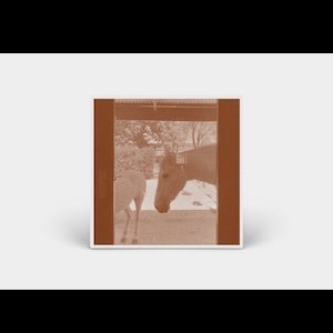 画像2: J.WLSN & Liam Keenan "Country/The Country" [CD]