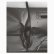 画像1: Push For Night "That Porous Line" [CD] (1)