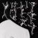 画像1: X-Ray Hex Tet [CD] (1)