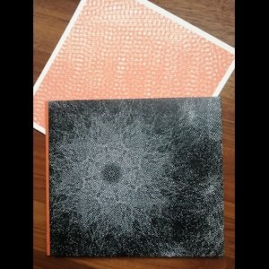 画像4: P.Vivax "Final WAVs" [CD]