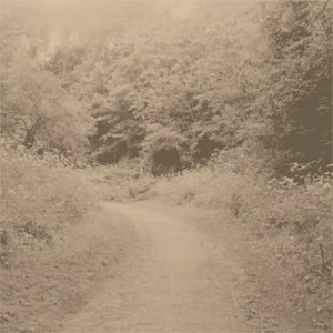 画像1: Izabela Dluzyk "Journey Home" [CD]