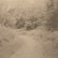 画像1: Izabela Dluzyk "Journey Home" [CD] (1)