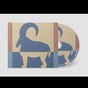 画像2: Bill Wells "Bill Wells Presents: Maher Shalal Hash Baz, Tenniscoats, KAMA AINA and Kazumi Nikaido Live in Scotland" [CD]