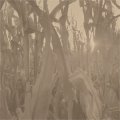 Annie Dodson "Corn Alone" [CD]