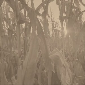 画像1: Annie Dodson "Corn Alone" [CD]