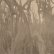 画像1: Annie Dodson "Corn Alone" [CD] (1)