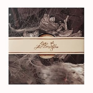 画像1: Eyes of the Amaryllis "Sift" [LP]