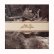 画像1: Eyes of the Amaryllis "Sift" [LP] (1)