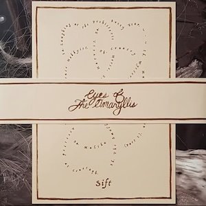画像3: Eyes of the Amaryllis "Sift" [LP]