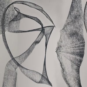 画像1: Kate Carr and Matt Atkins "Organelles" [CD]