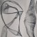 画像1: Kate Carr and Matt Atkins "Organelles" [CD] (1)