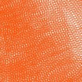 P.Vivax "Final WAVs" [CD]