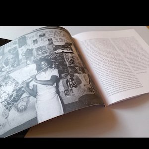 画像4: Riccardo Sinigaglia "L'Uccello Del Paradiso (1974-84)" [LP]