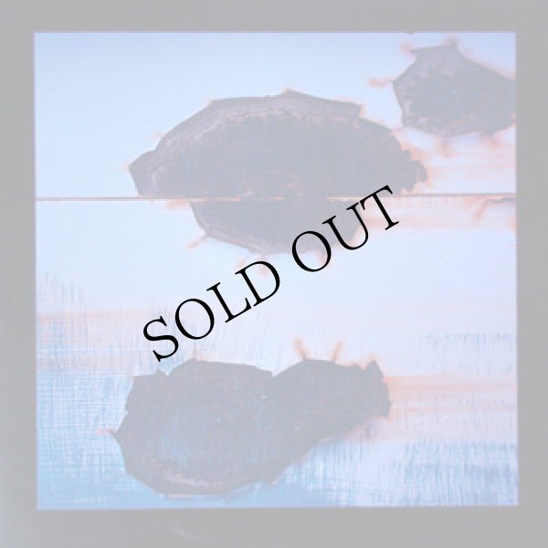 画像1: Charles Curse "Rain in Skull" [LP]