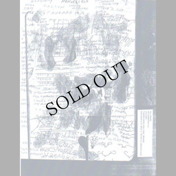 画像4: Earth Crown - Kites "Split" [LP]