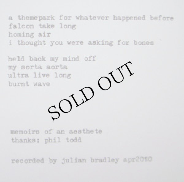 画像2: The Piss Superstition "A Themepark For Whatever Happened Before" [LP]