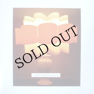 画像: The Piss Superstition "A Themepark For Whatever Happened Before" [LP]