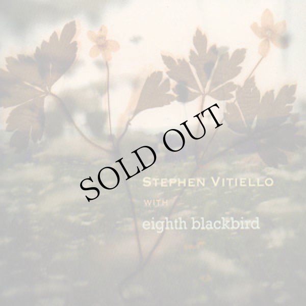 画像1: Stephen Vitiello With Eighth Blackbird [CD]