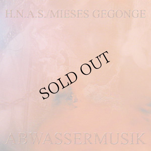 画像1: H.N.A.S. / Mieses Gegonge "Abwassermusik" [CD]
