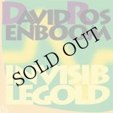 画像: David Rosenboom "Invisible Gold" [CD]
