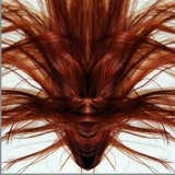 画像: Dave Phillips "A Collection Of Hair" [2CD]