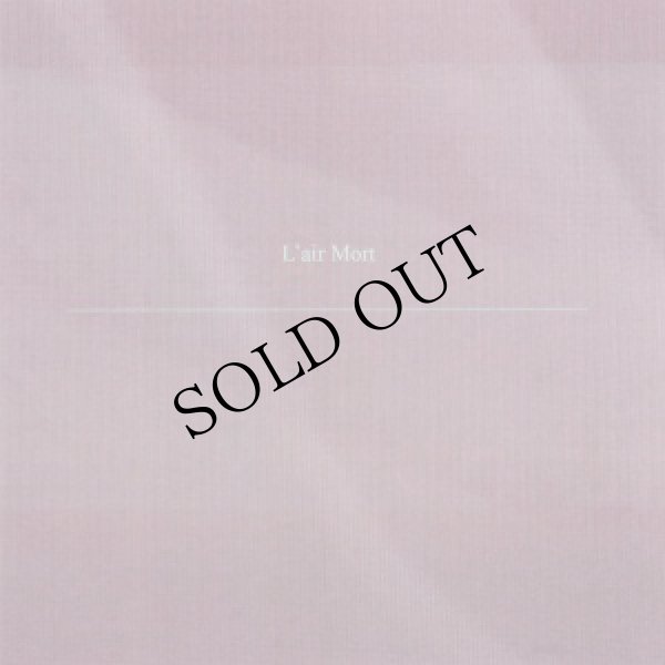 画像3: L'air Mort "Television Dream Suite" [CD-R]