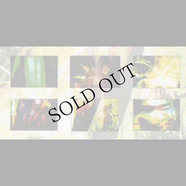 画像2: Arthur Cantrill "Chromatic Mysteries: Soundtracks 1963 - 2009" [CD]