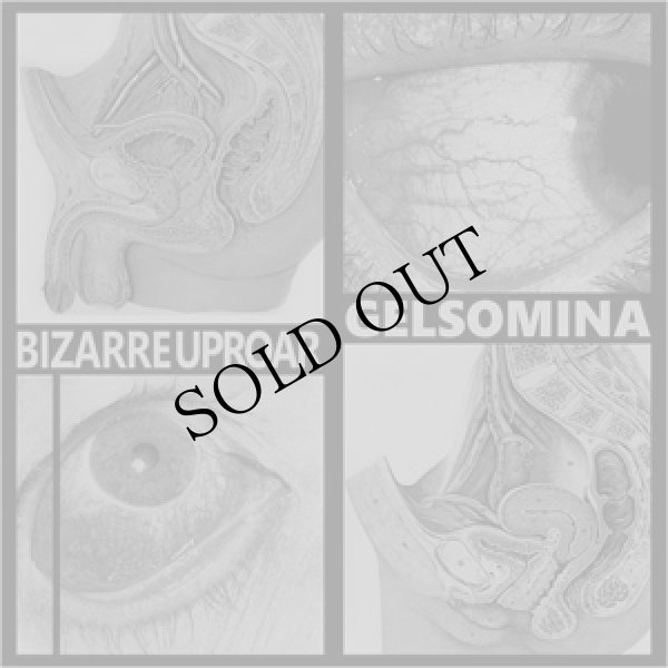 画像1: Gelsomina / Bizarre Uproar "Älä Tee Huorin" [LP]