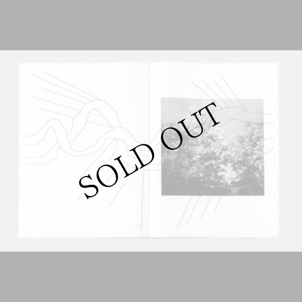 画像3: Matteo Nasini "The Sudden Gust" [LP + A2 Prints]