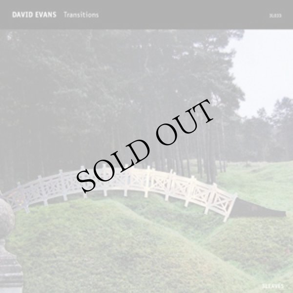 画像1: David Evans "Transitions" [CD-R]