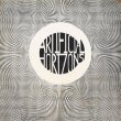 画像1: Artificial Horizons [CD-R]