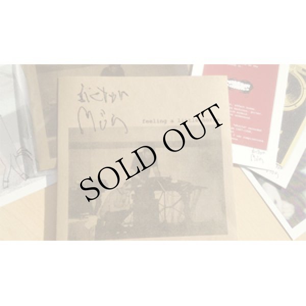 画像1: Dieter Muh "Feeling A Little Horse" [CD]